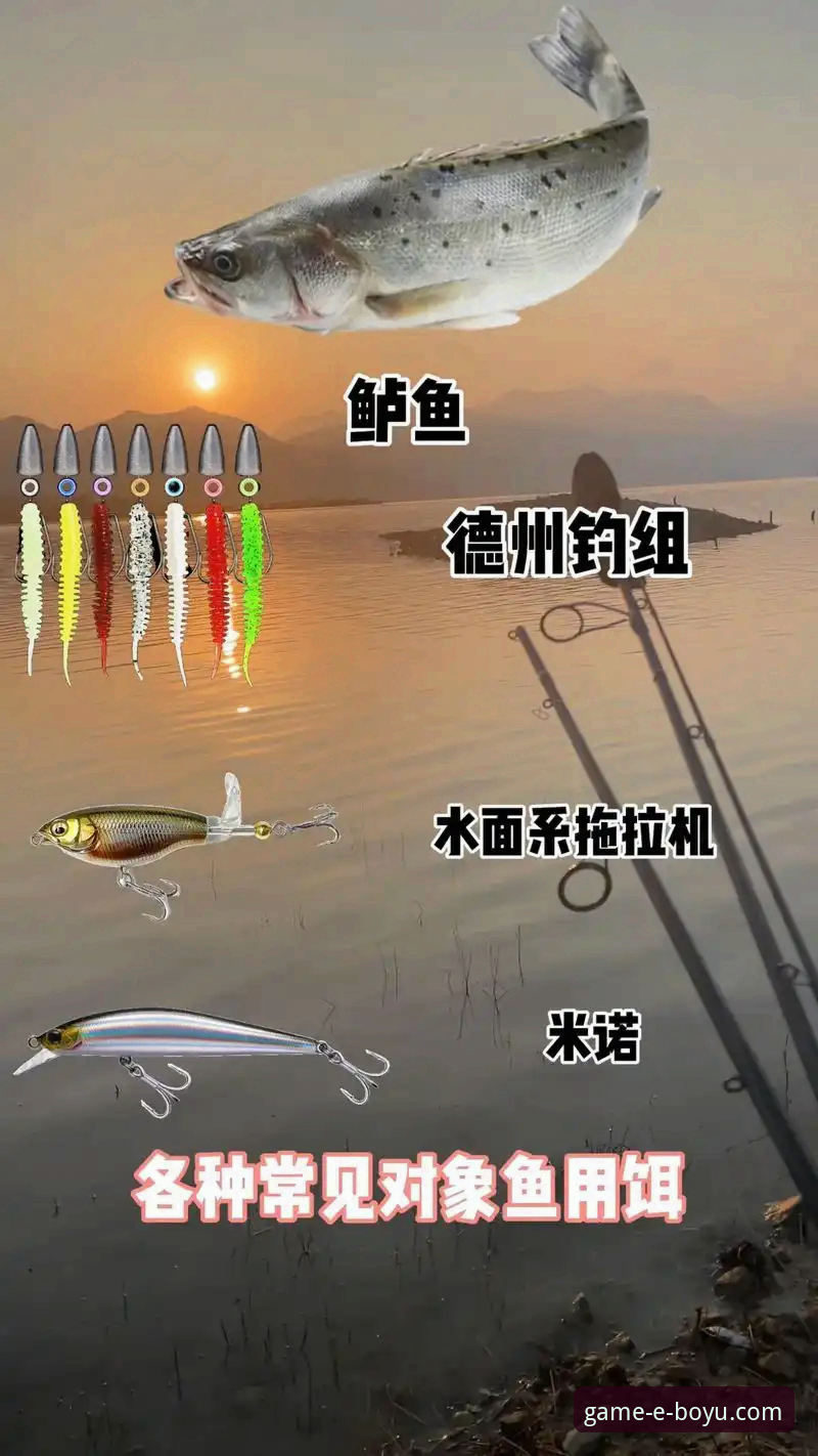 博鱼体育官网入口功能详解：新手如何快速上手并选择最佳平台？